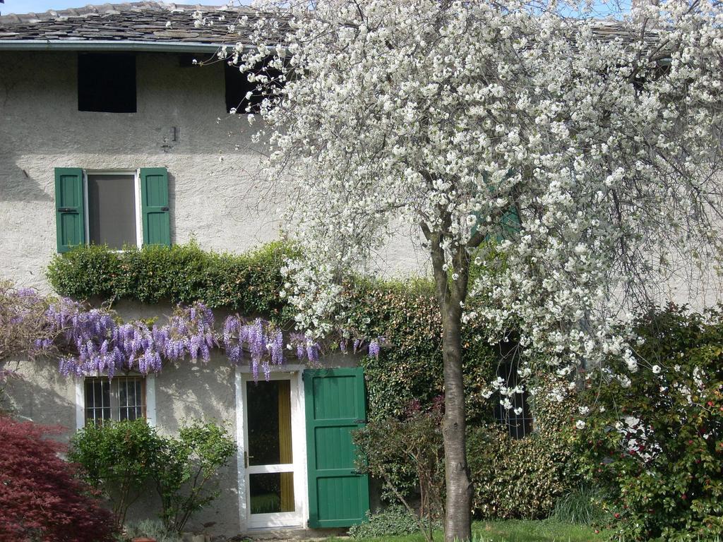 B&B L'Isola Piantedo Bagian luar foto